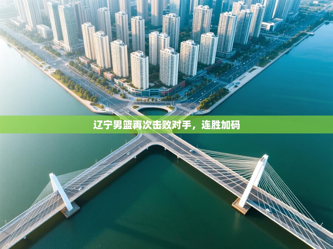 辽宁男篮再次击败对手，连胜加码