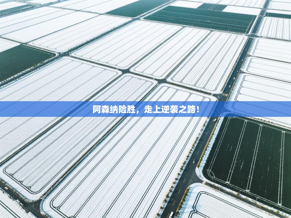 阿森纳险胜，走上逆袭之路！