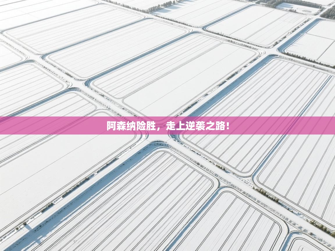 阿森纳险胜，走上逆袭之路！  第2张