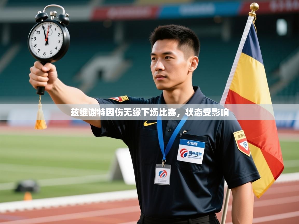 兹维谢特因伤无缘下场比赛，状态受影响  第2张