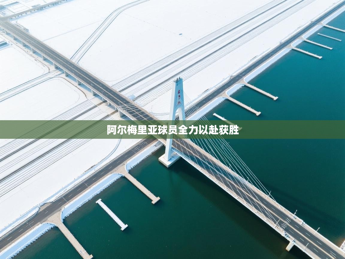 阿尔梅里亚球员全力以赴获胜  第1张