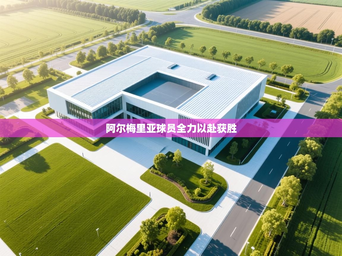 阿尔梅里亚球员全力以赴获胜  第2张