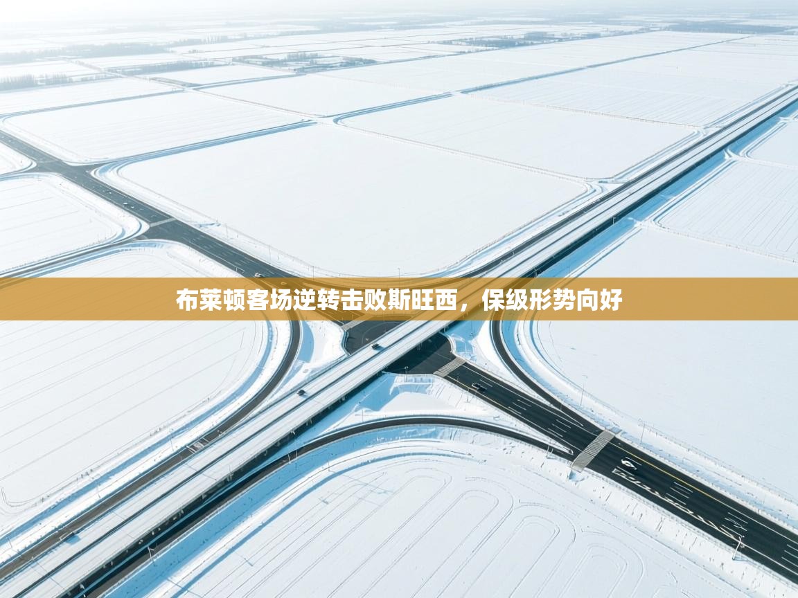 布莱顿客场逆转击败斯旺西，保级形势向好