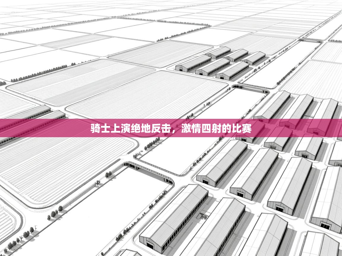 骑士上演绝地反击，激情四射的比赛